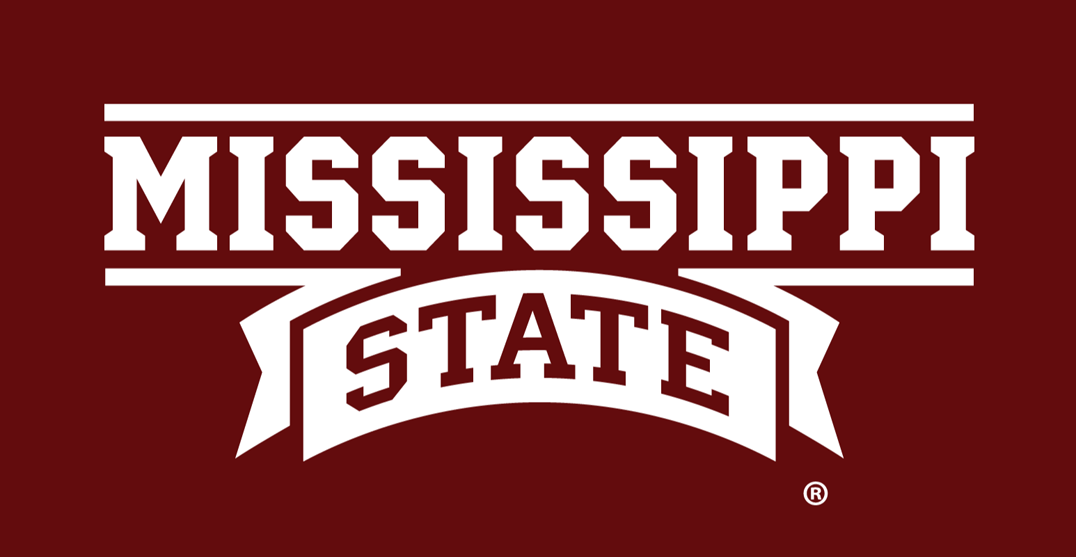 Mississippi State Bulldogs 2009-Pres Wordmark Logo v2 diy fabric transfer